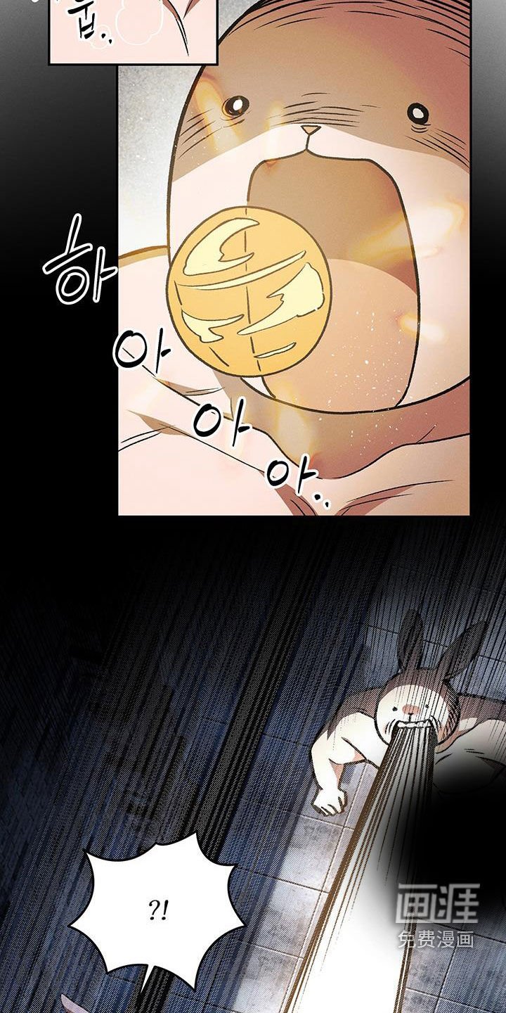 第57章：肌肉兔子