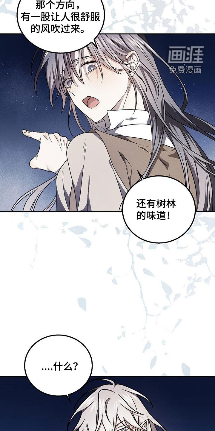 第58章：陷阱