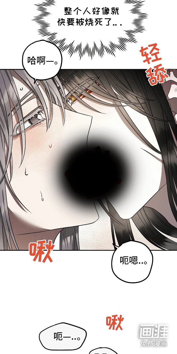 第6章：奇怪的反应