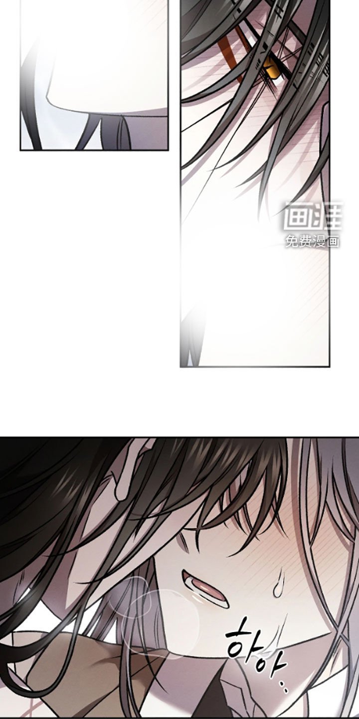第62章：不再苦恼