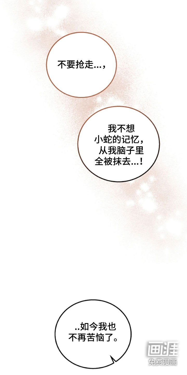 第62章：不再苦恼