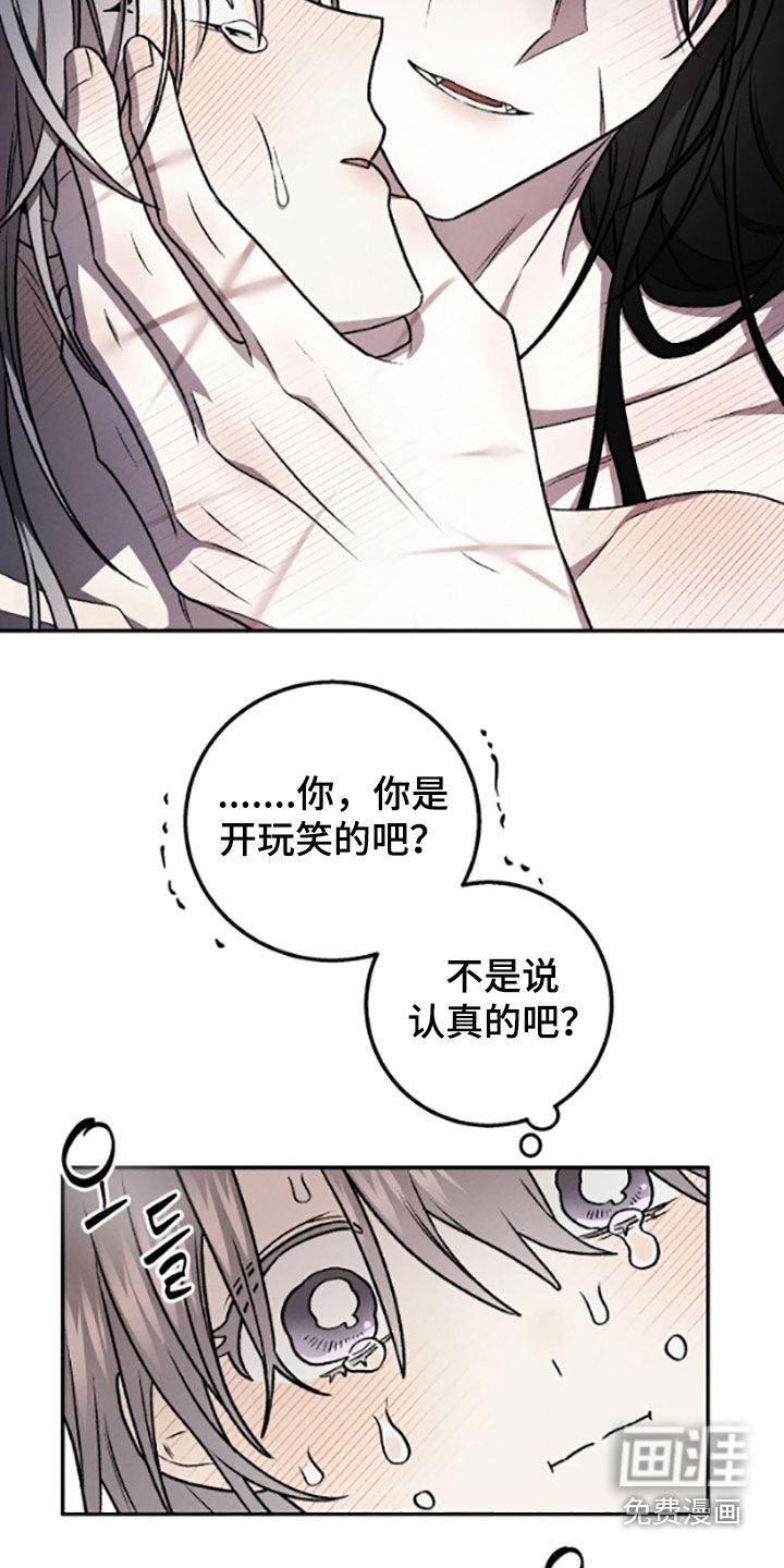 第62章：不再苦恼