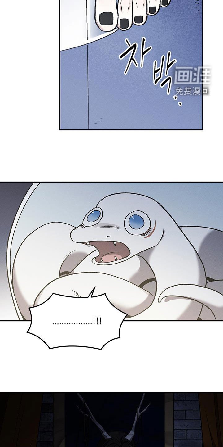 第63章：从未后悔