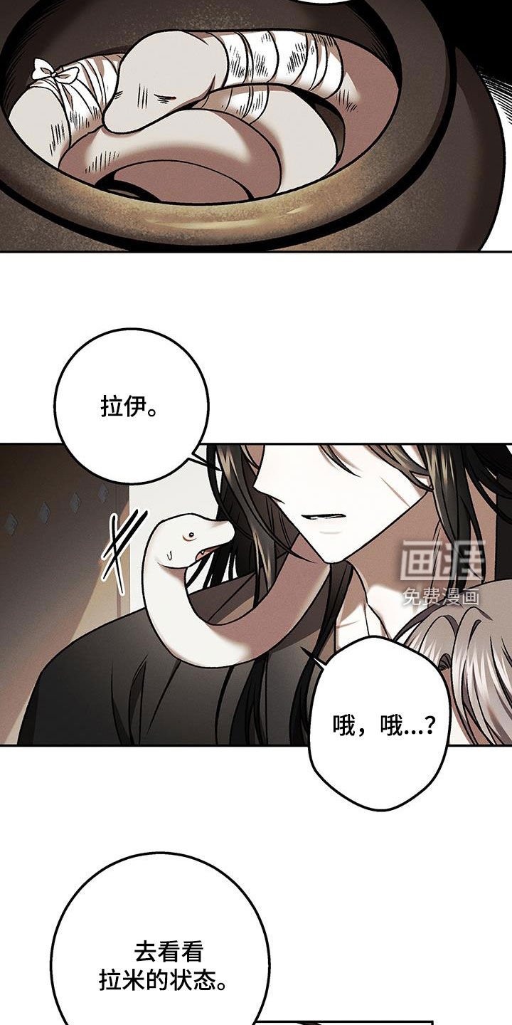 第65章：不需要你担心