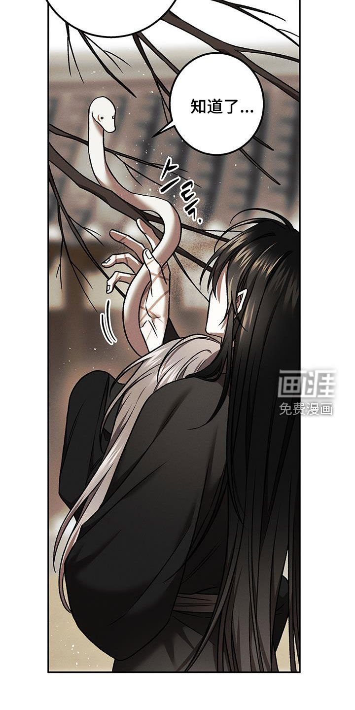 第65章：不需要你担心