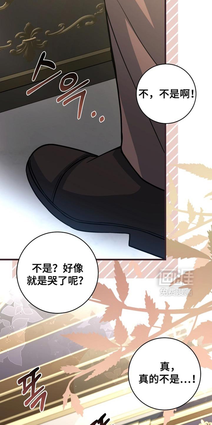 第100章：【第二季】瞎操心