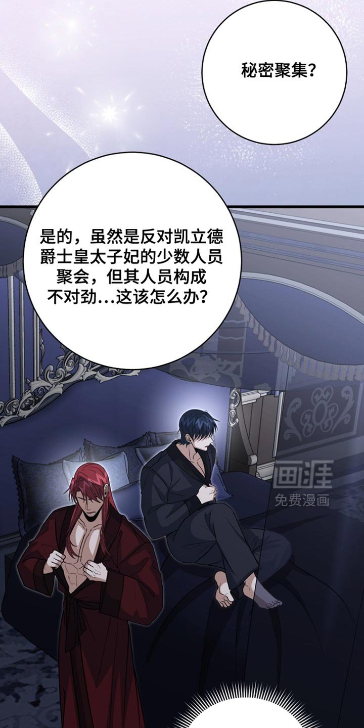 第104章：【第二季】秘密聚集