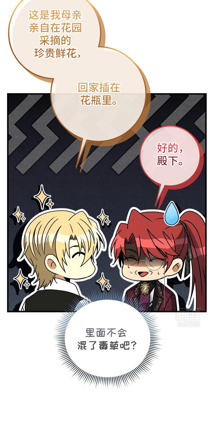 第13章：试探