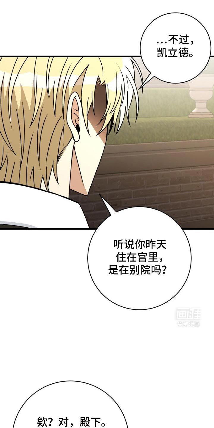 第13章：试探