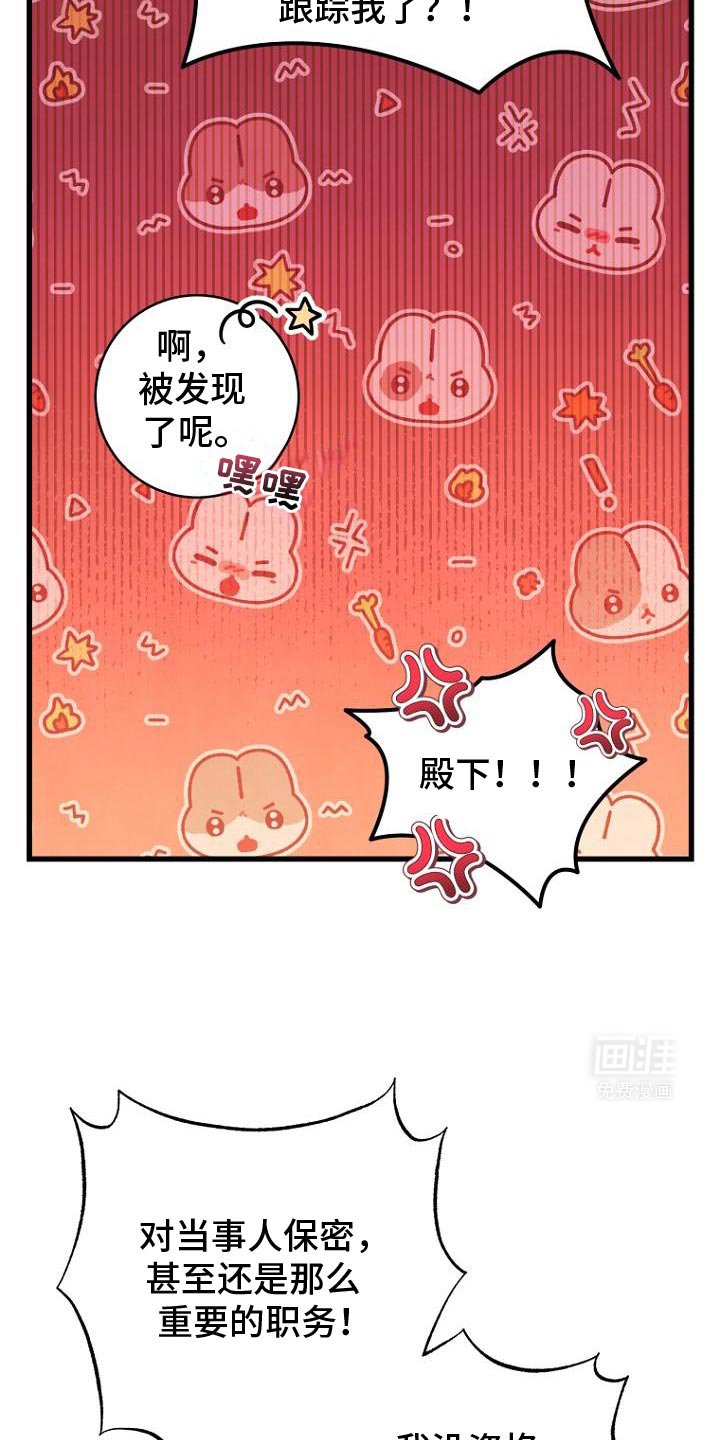 第14章：我的意愿