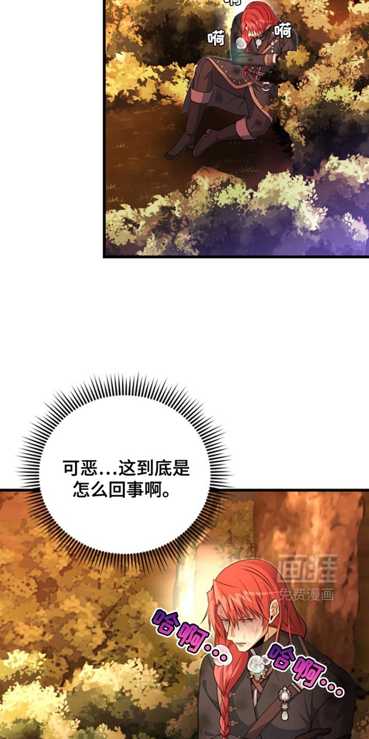第41章：发光石