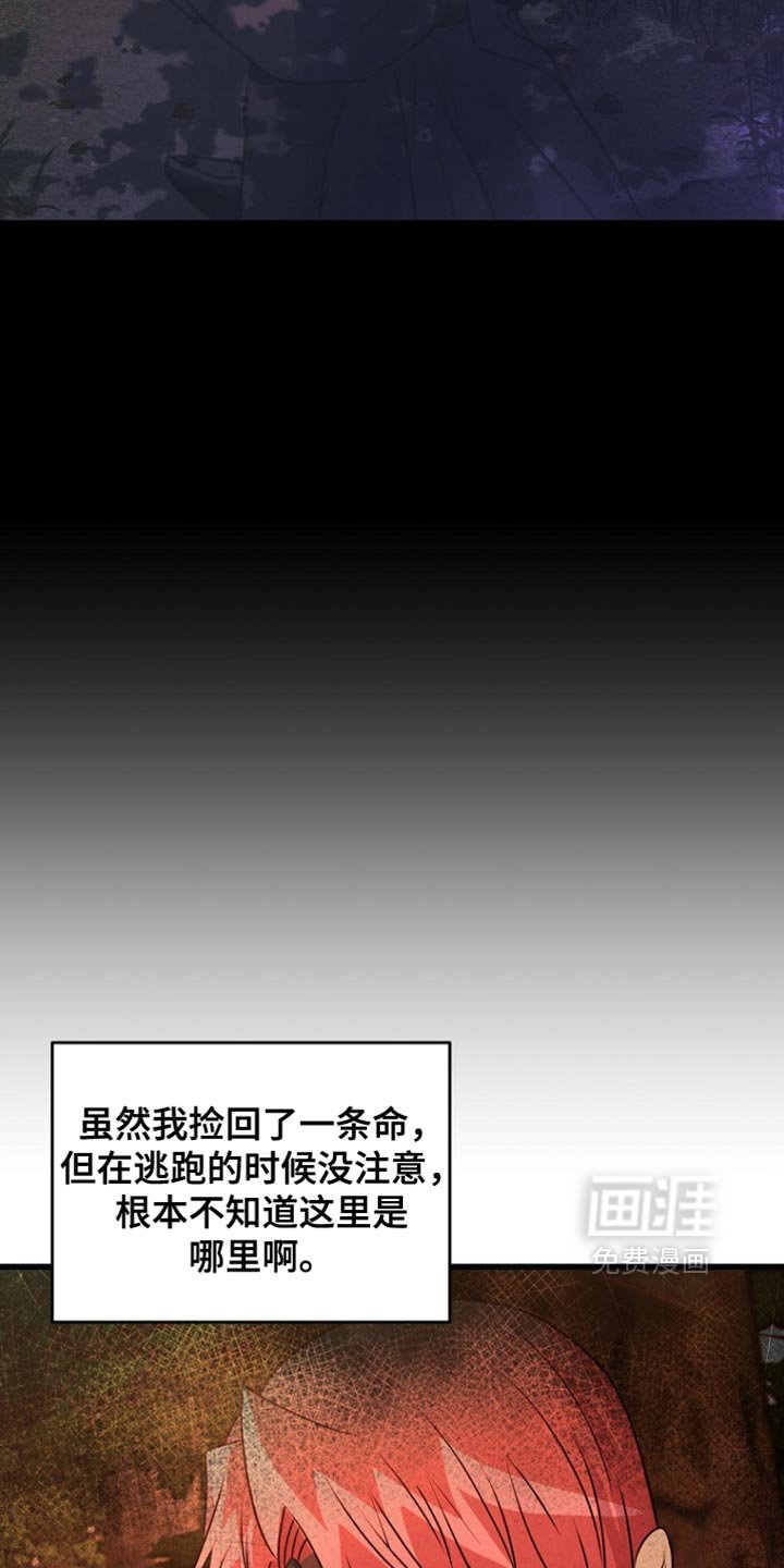 第41章：发光石