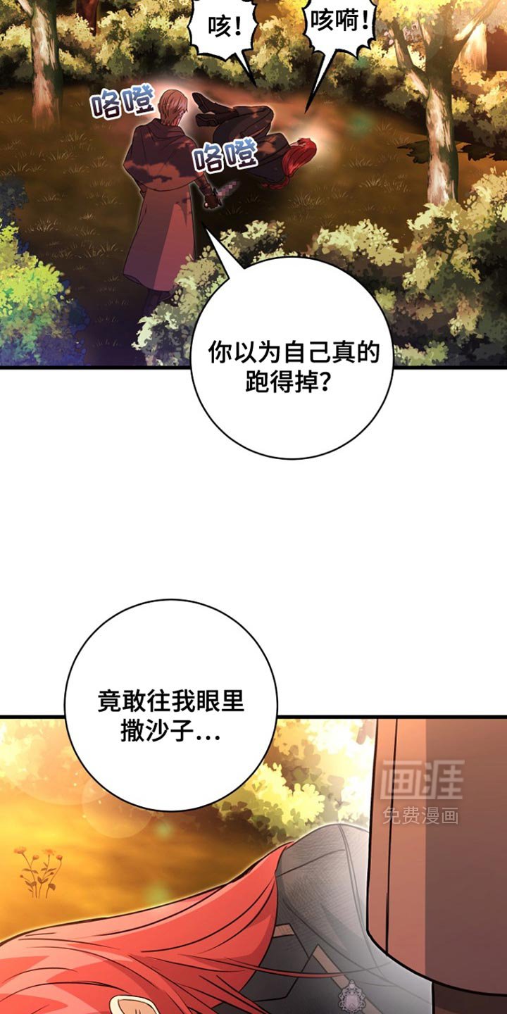 第41章：发光石