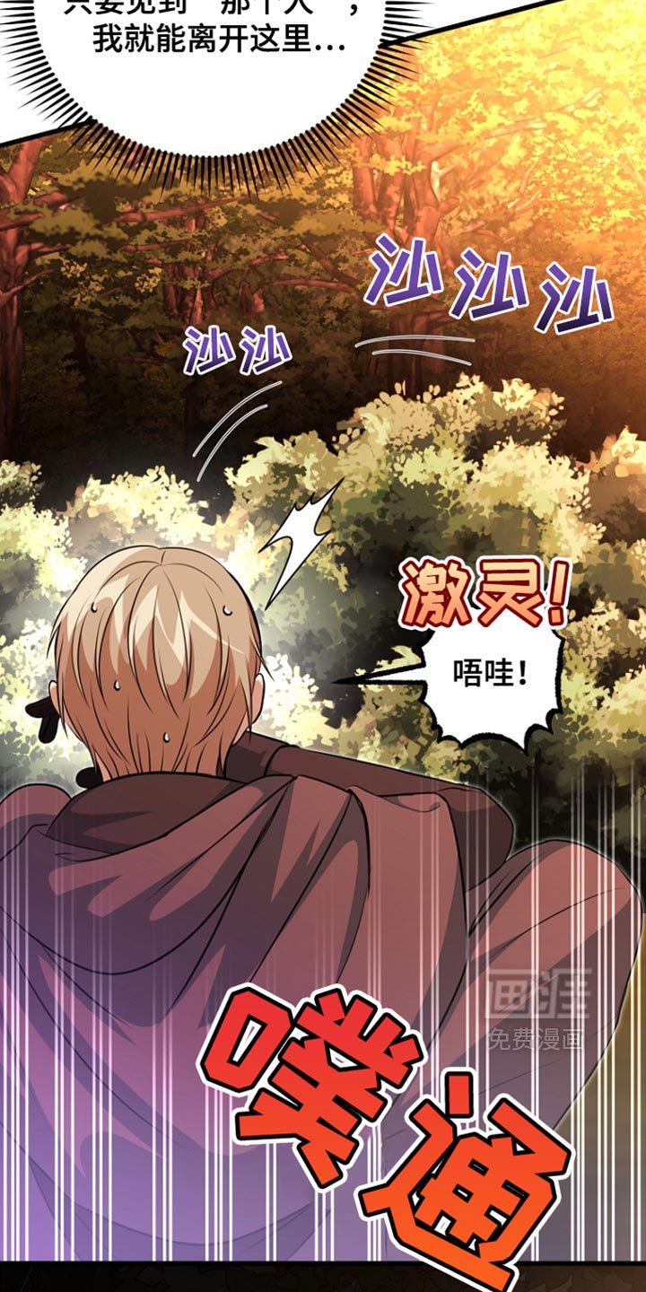 第42章：太可惜了