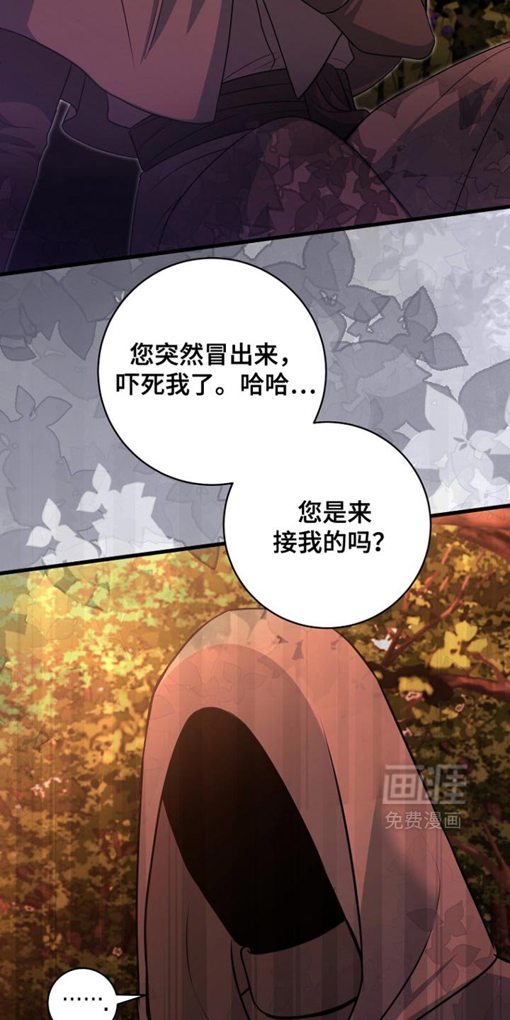 第42章：太可惜了