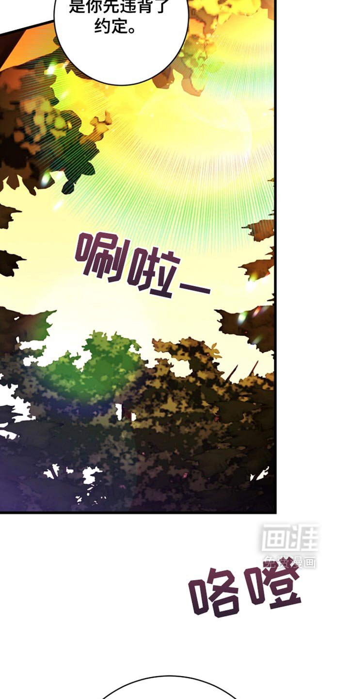 第42章：太可惜了
