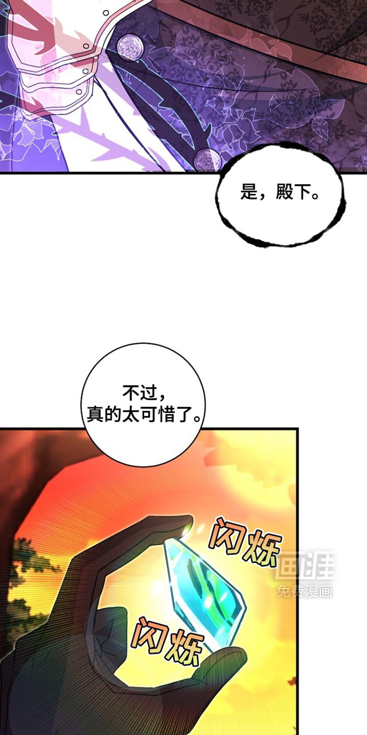 第42章：太可惜了