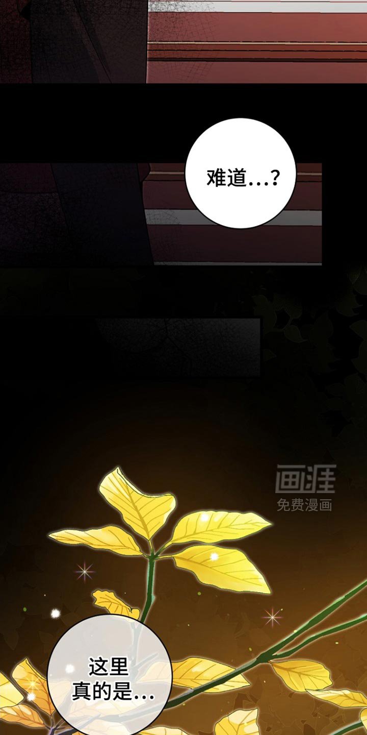 第45章：慢走