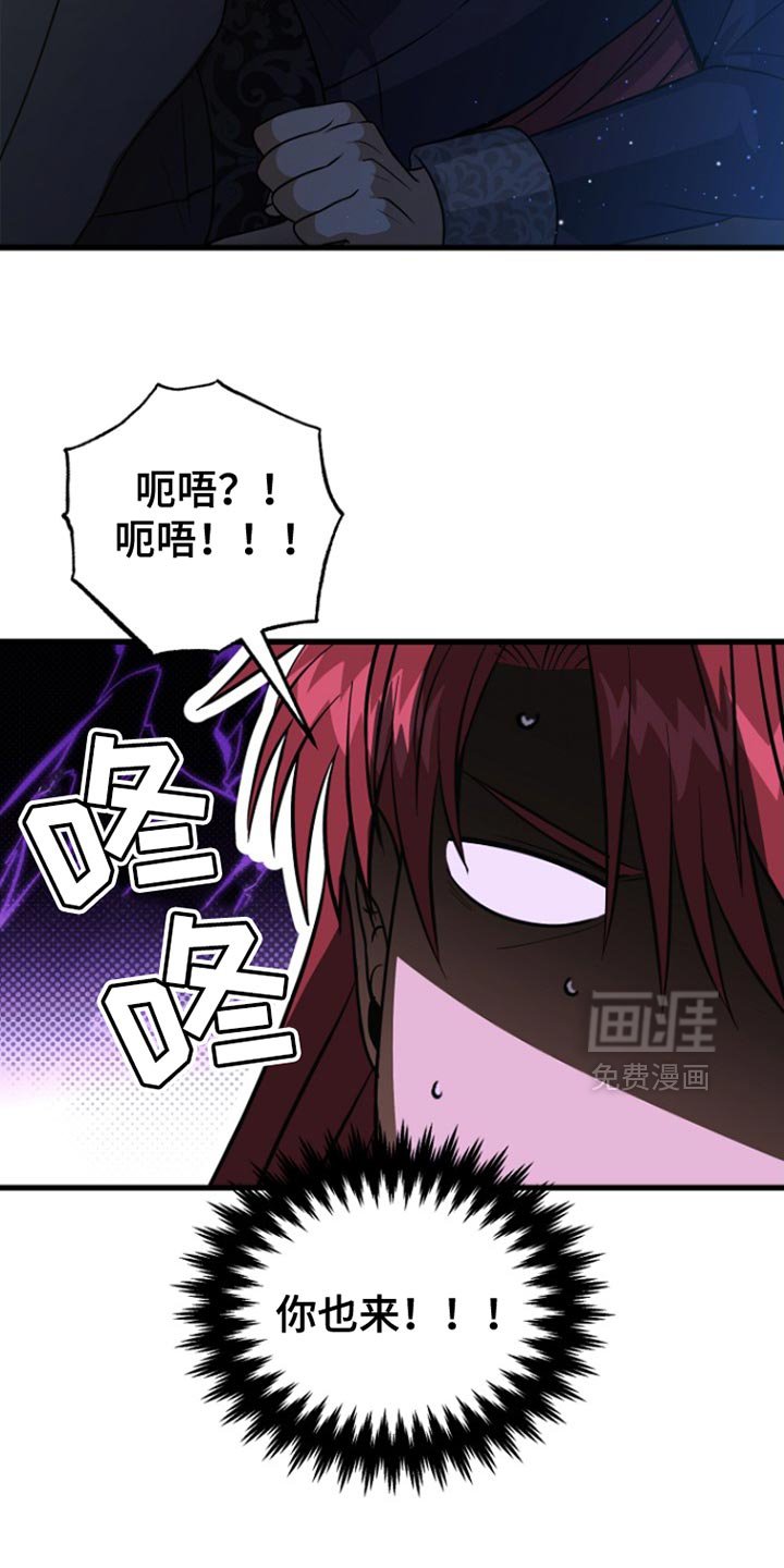 第52章：明智的选择