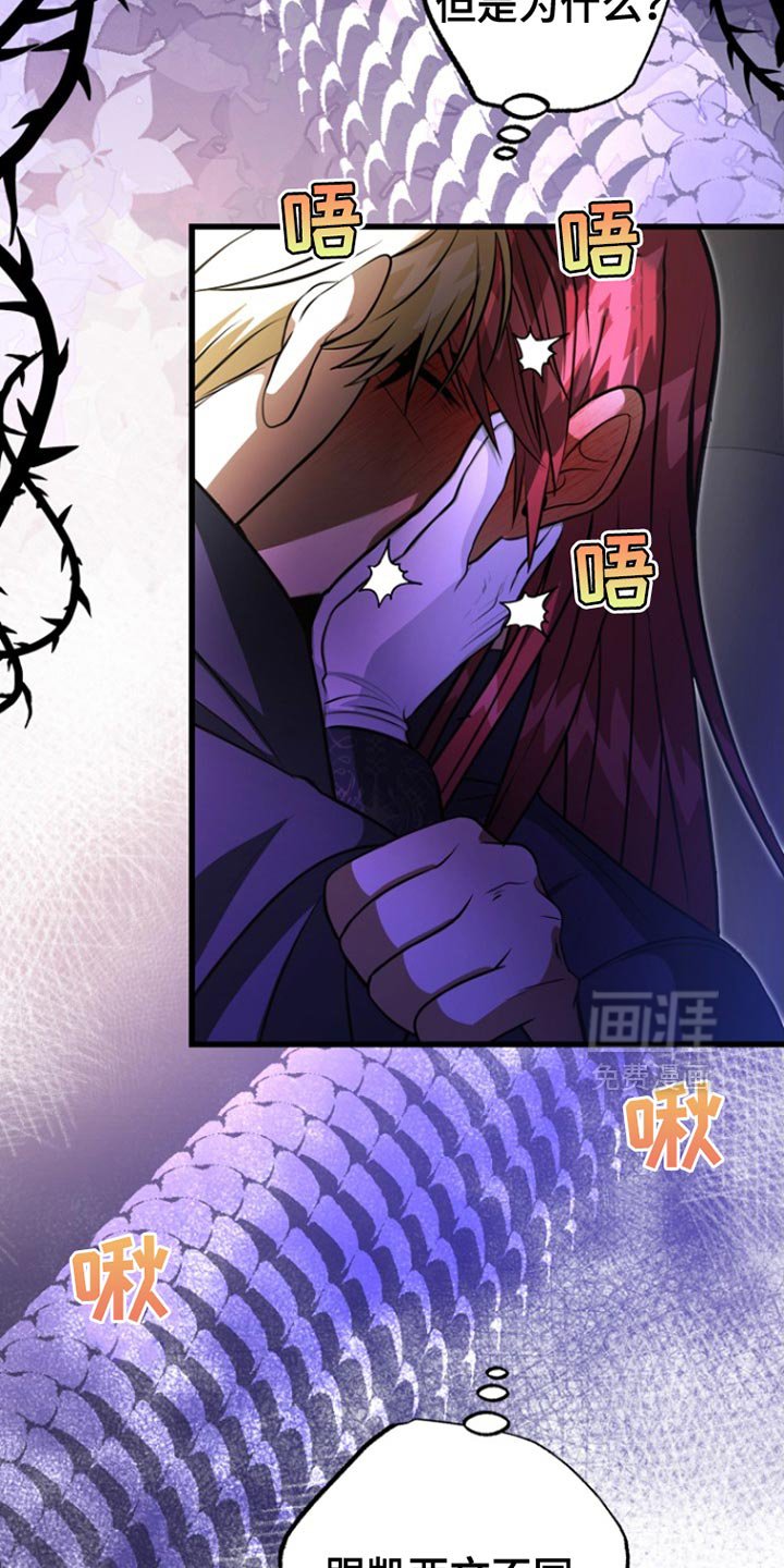 第52章：明智的选择