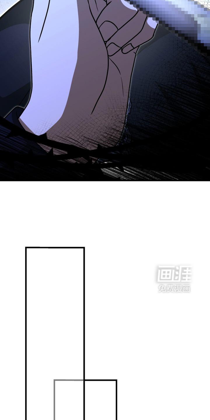 第61章：说实话