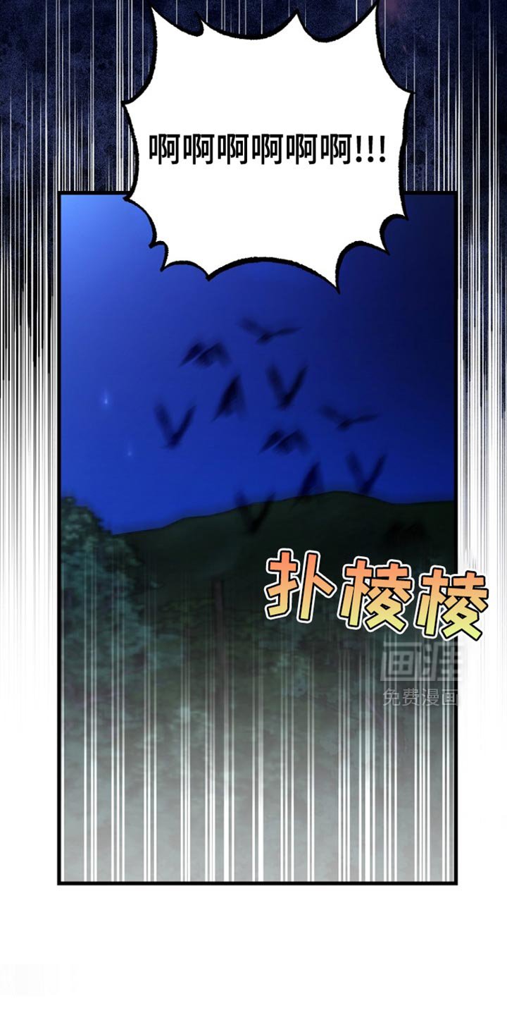 第64章：不需要你的认可
