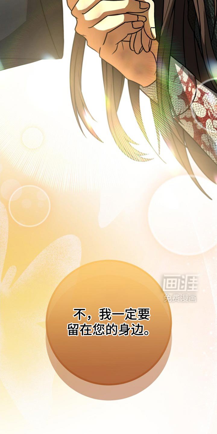第66章：我爱您（第一季完结）