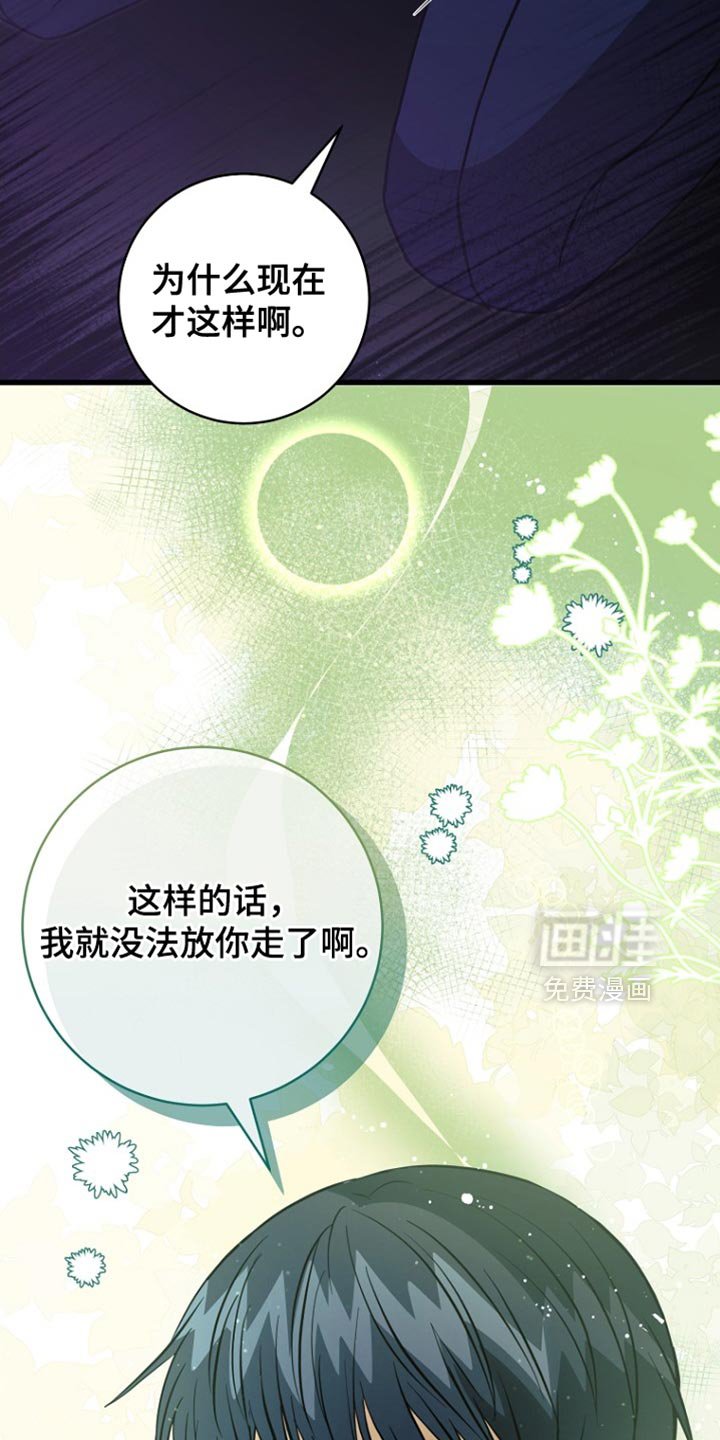 第66章：我爱您（第一季完结）