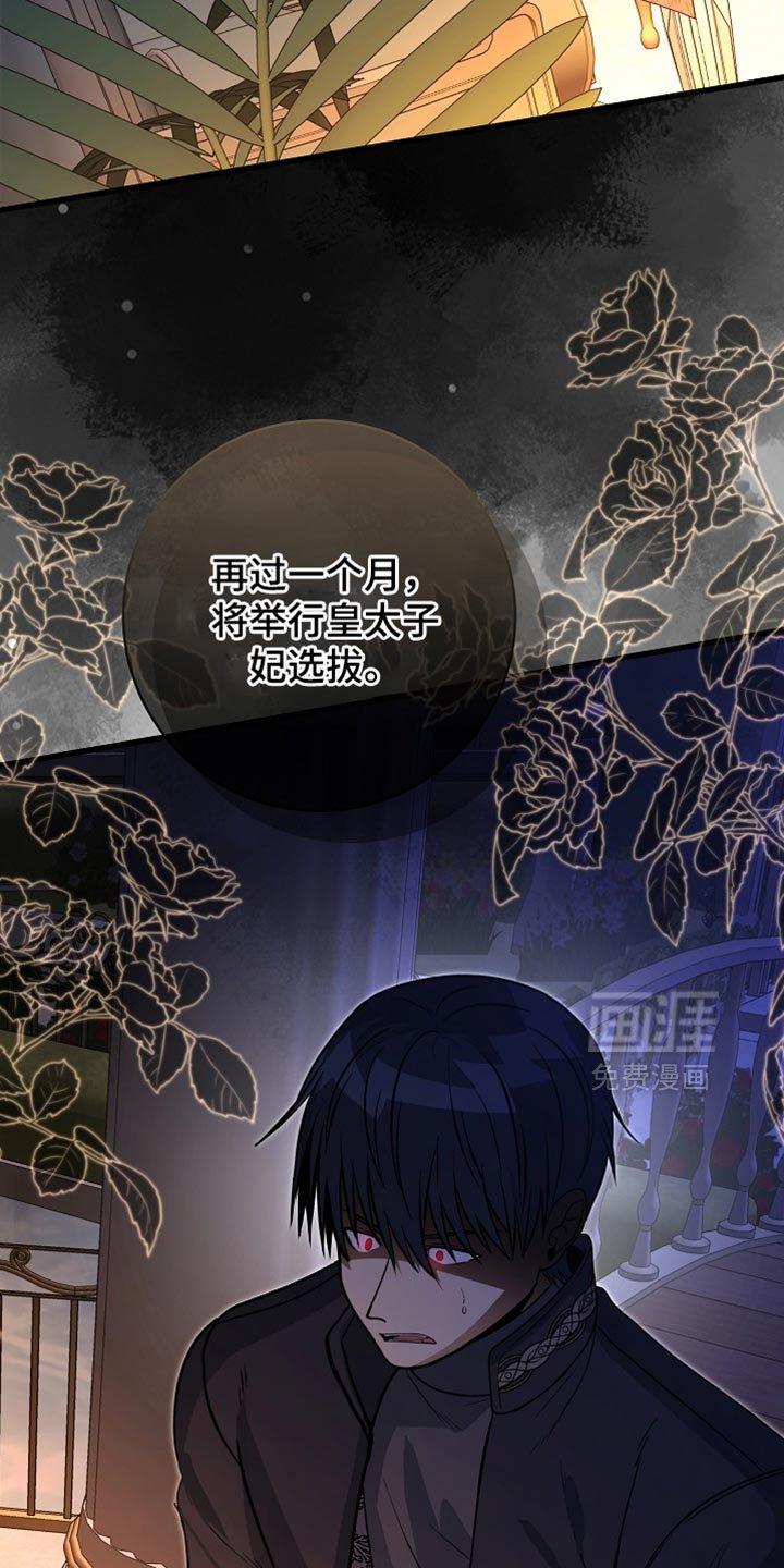 第70章：【第二季】选妃