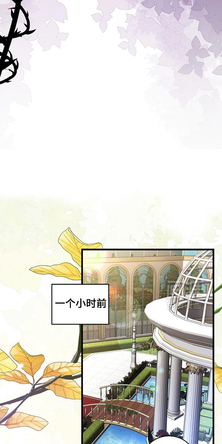 第71章：【第二季】可靠的靠山