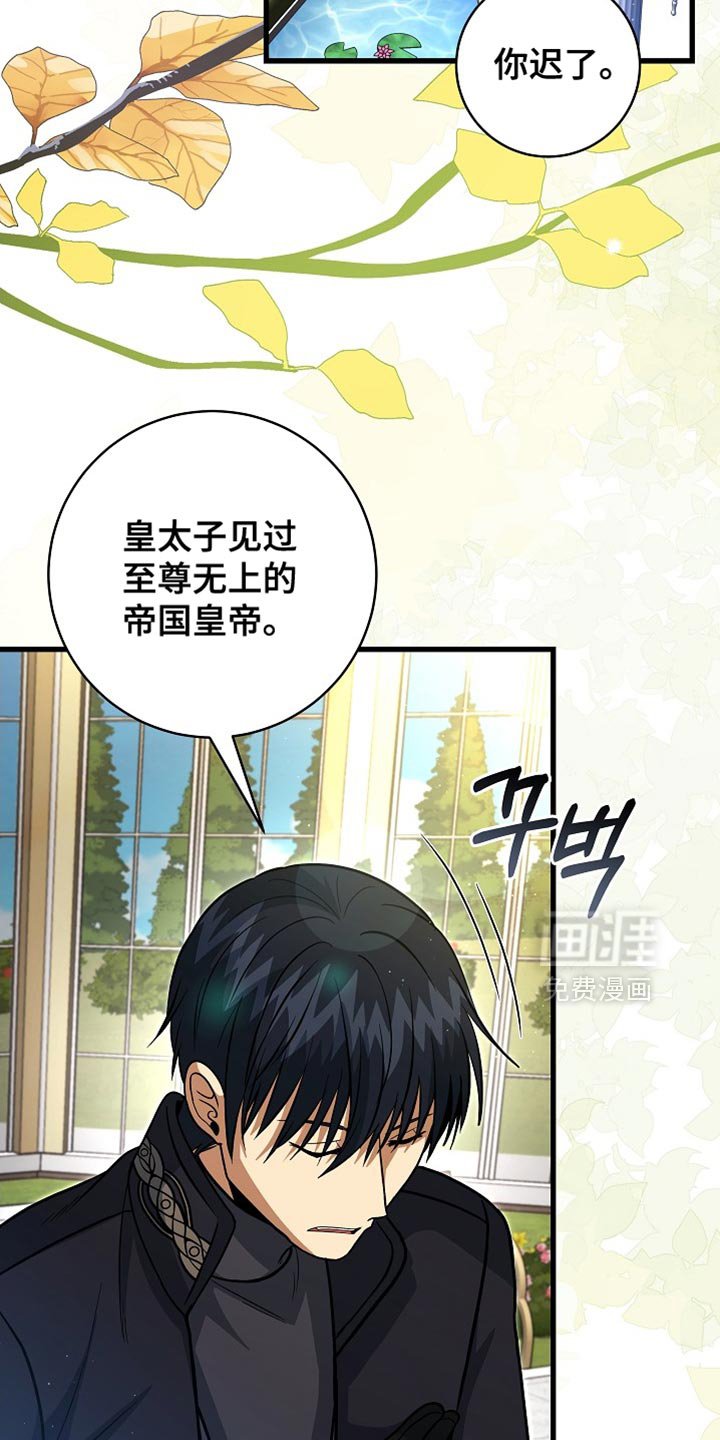 第71章：【第二季】可靠的靠山