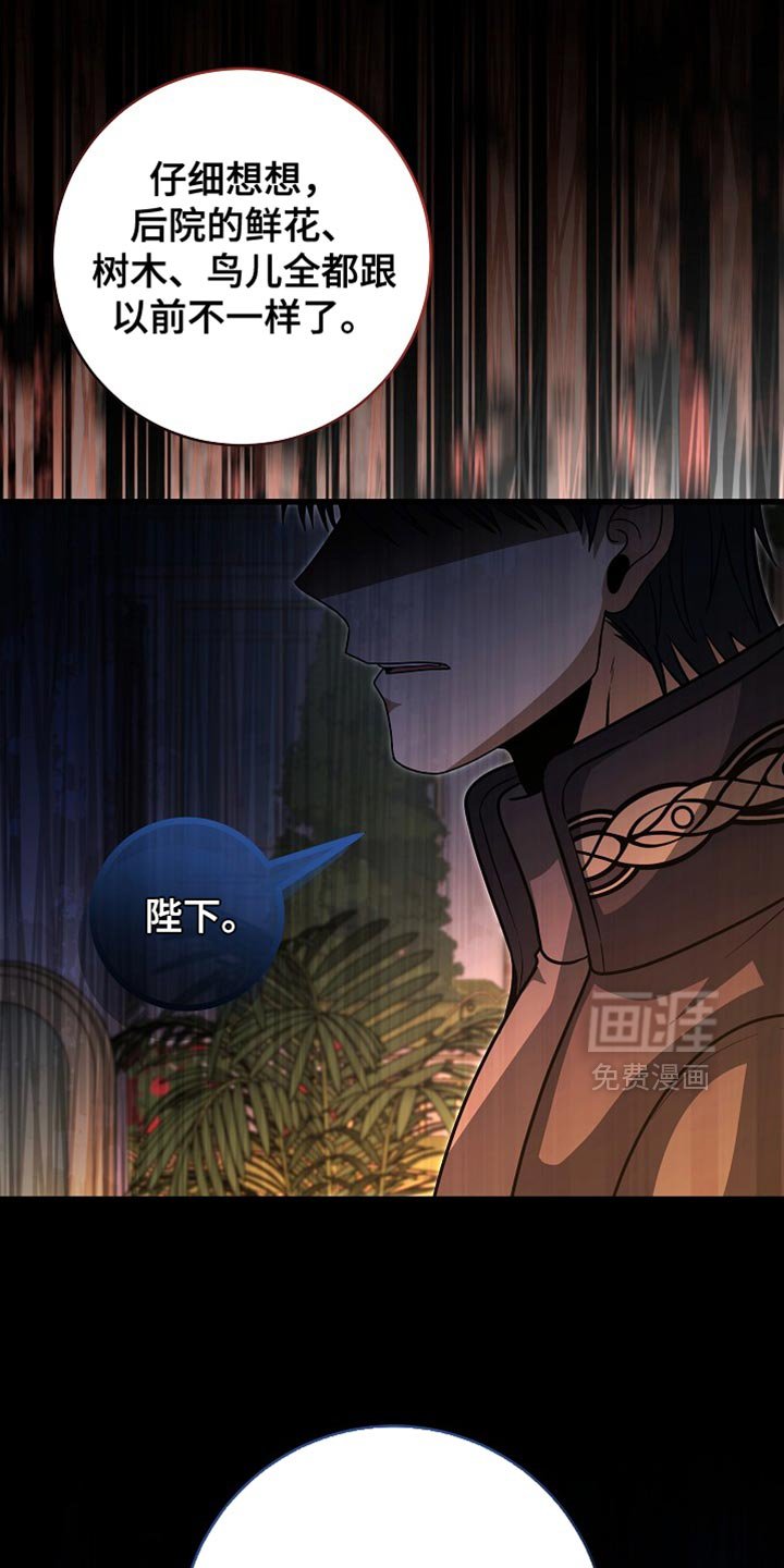 第71章：【第二季】可靠的靠山