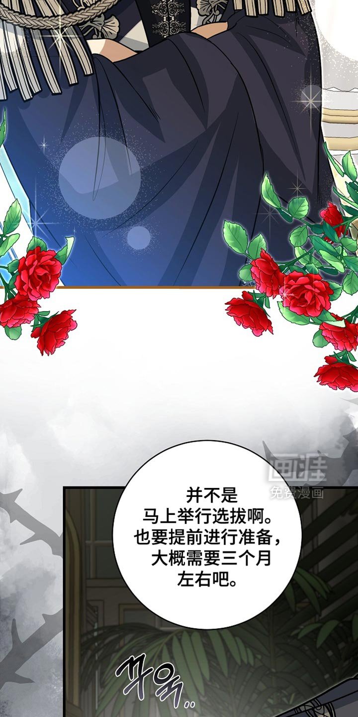 第71章：【第二季】可靠的靠山