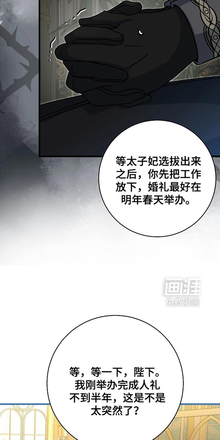 第71章：【第二季】可靠的靠山