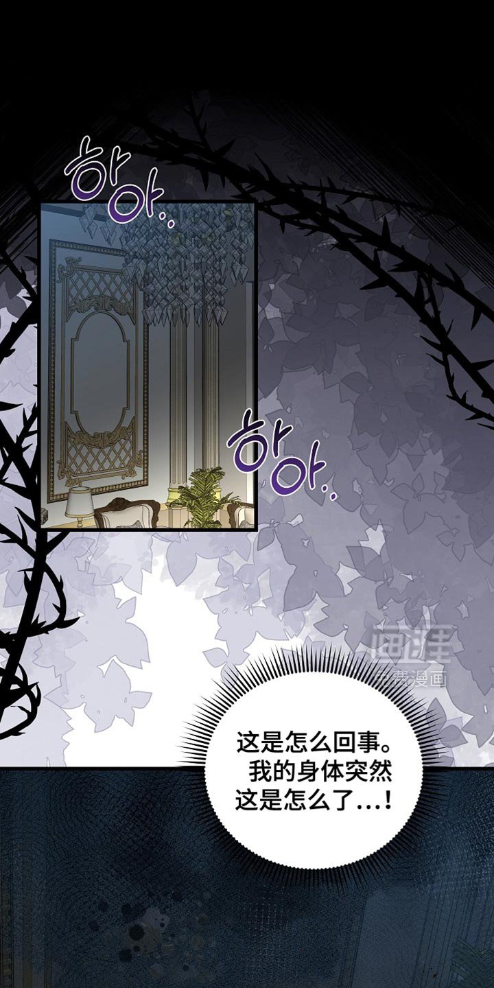 第87章：【第二季】有趣的事情