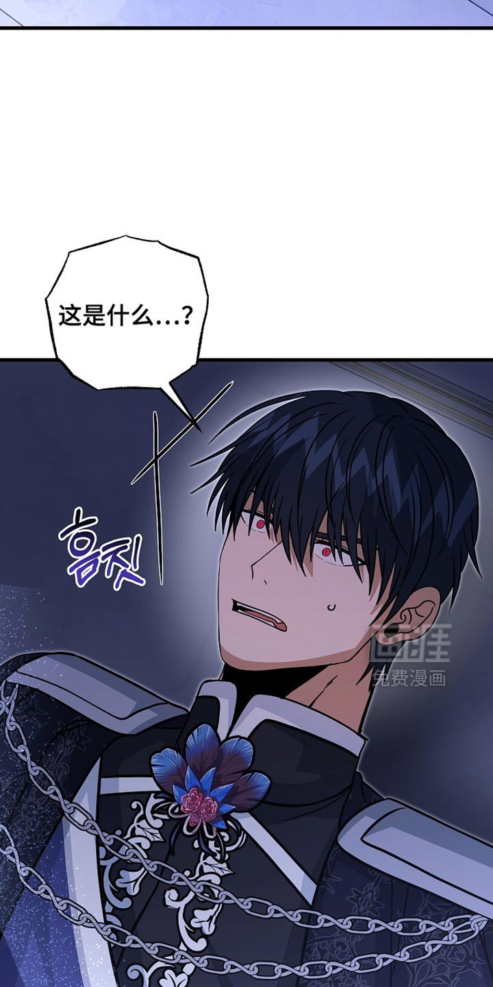 第88章：【第二季】崇高的爱情