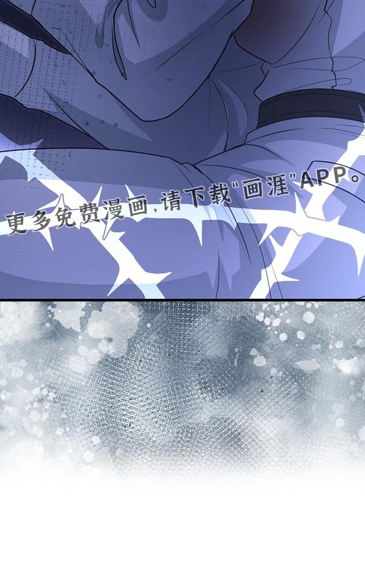 第88章：【第二季】崇高的爱情
