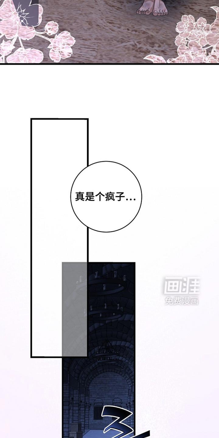 第92章：【第二季】明天的反击