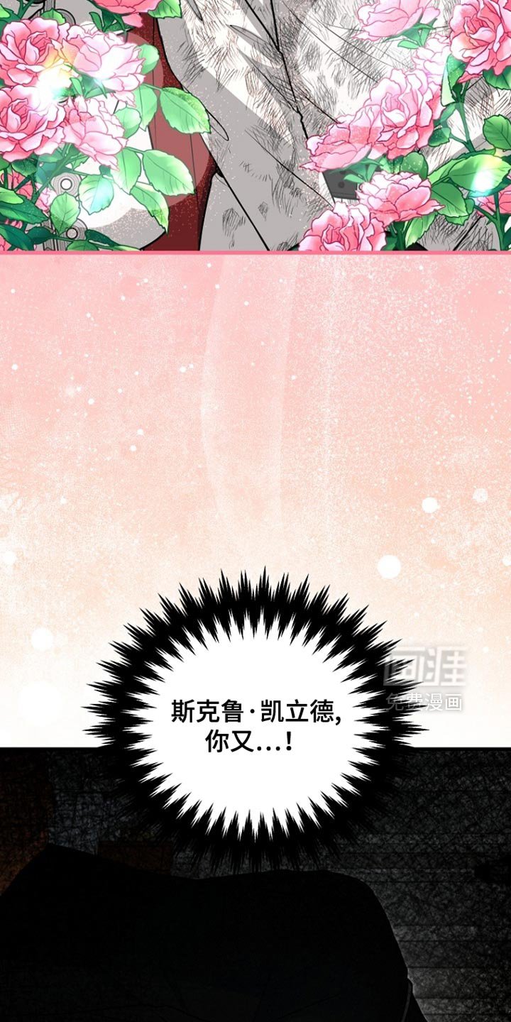 第95章：【第二季】活跃的表现