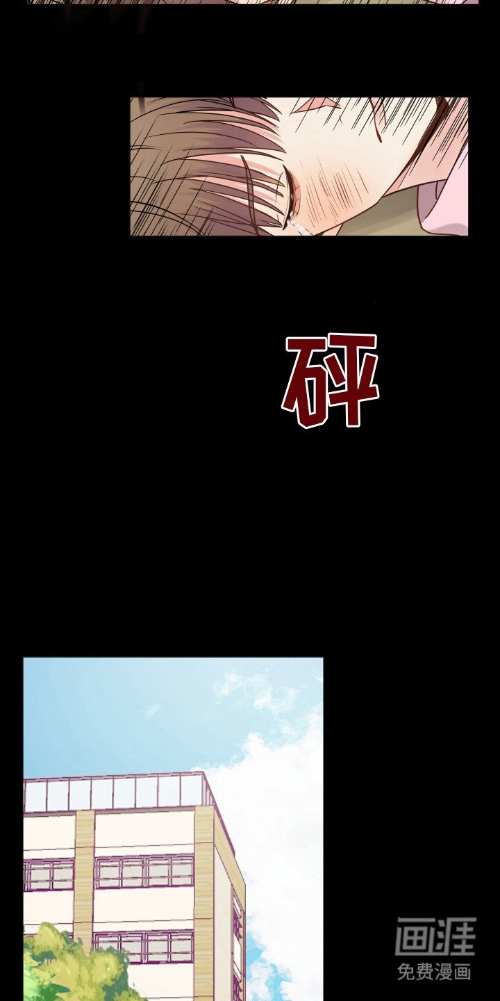 第14章：伤痕