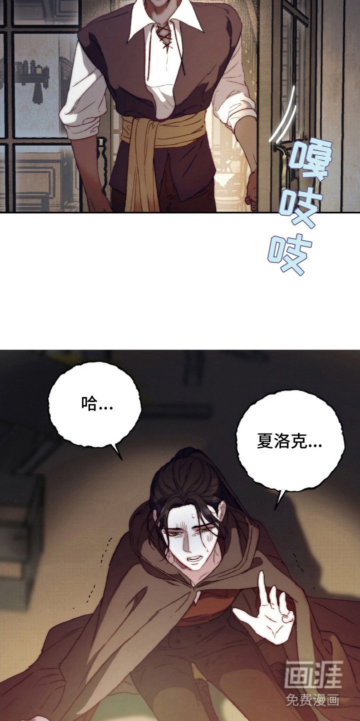 第14章：昏迷