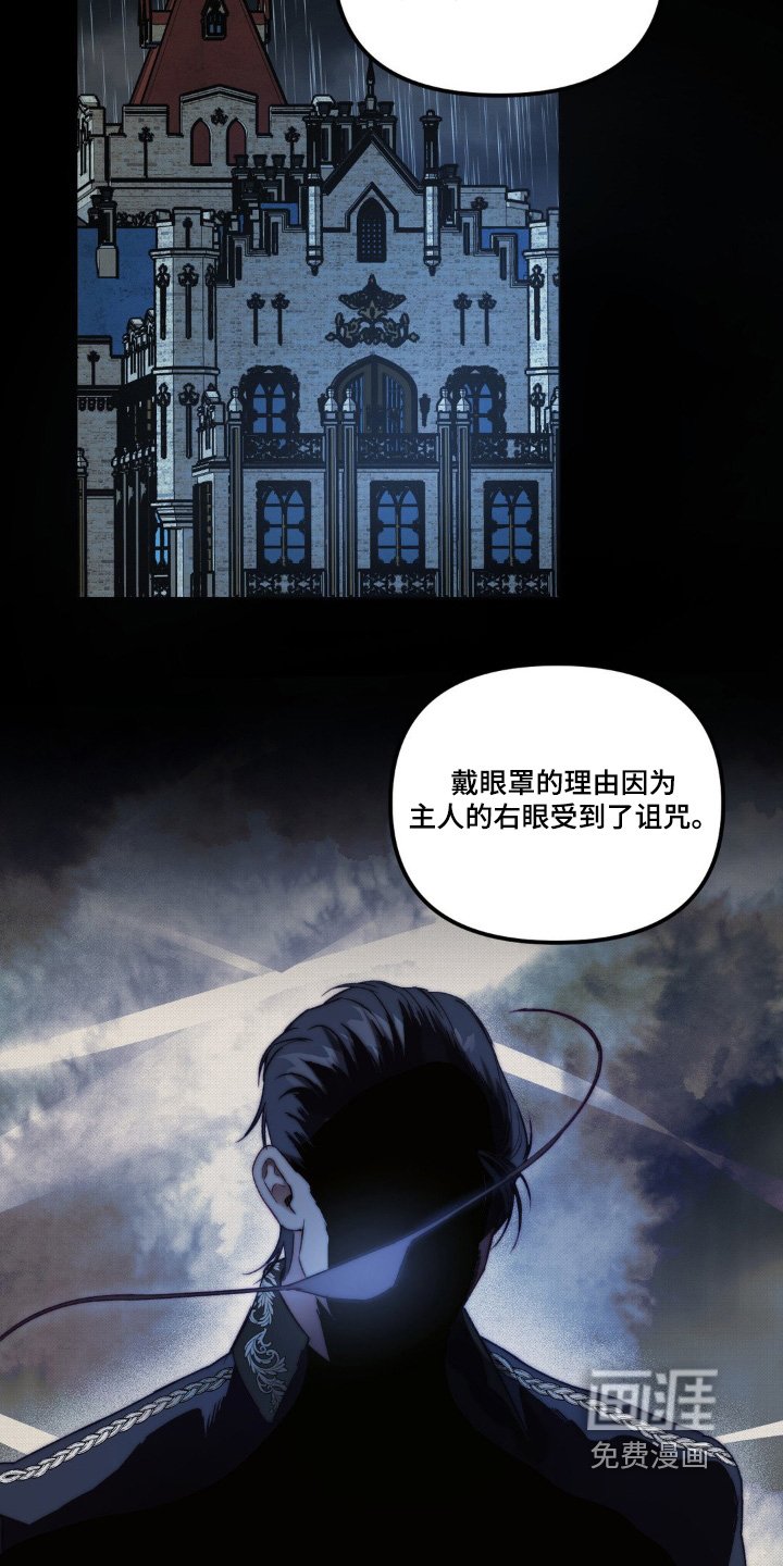 第27章：诅咒的眼睛