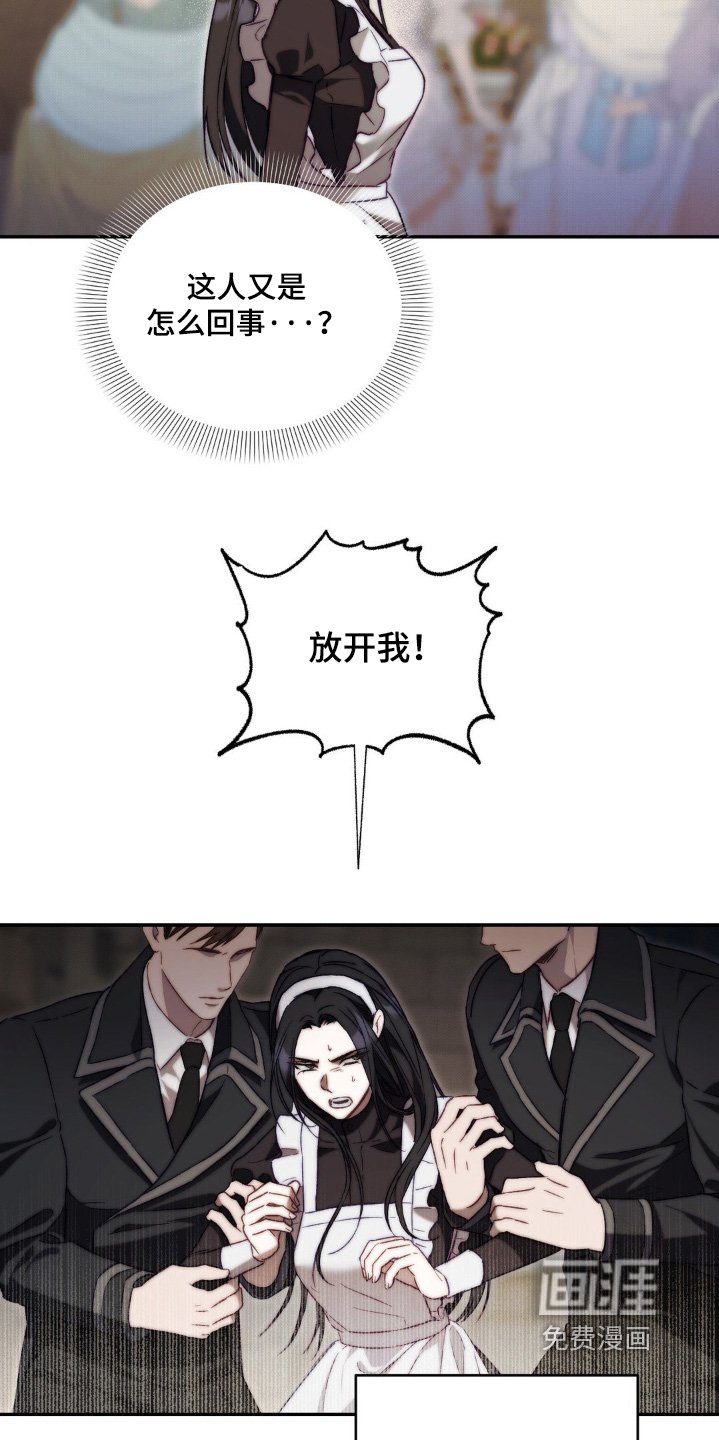第33章：决定跟她结婚