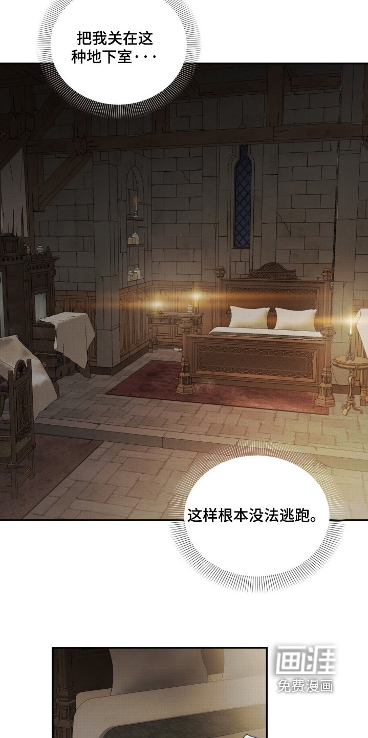 第33章：决定跟她结婚