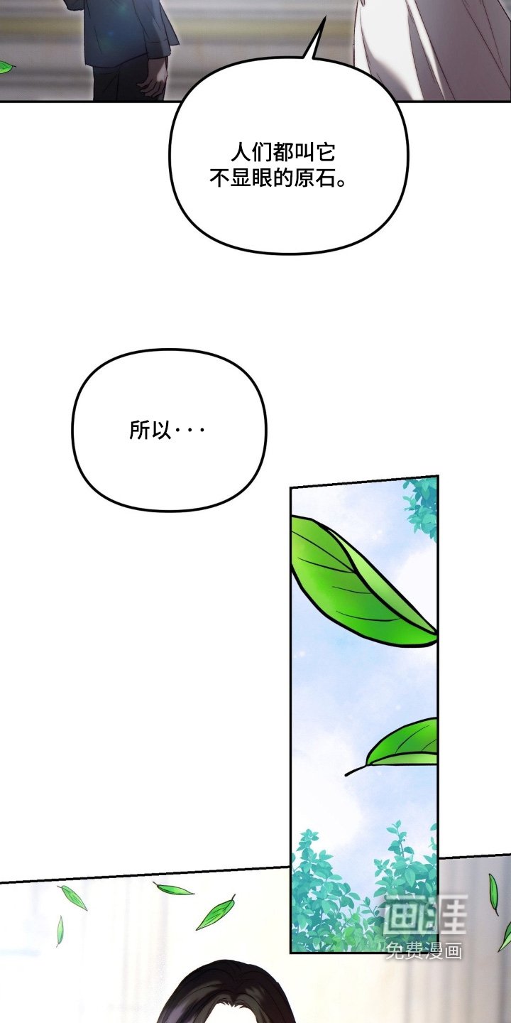第71章：原石
