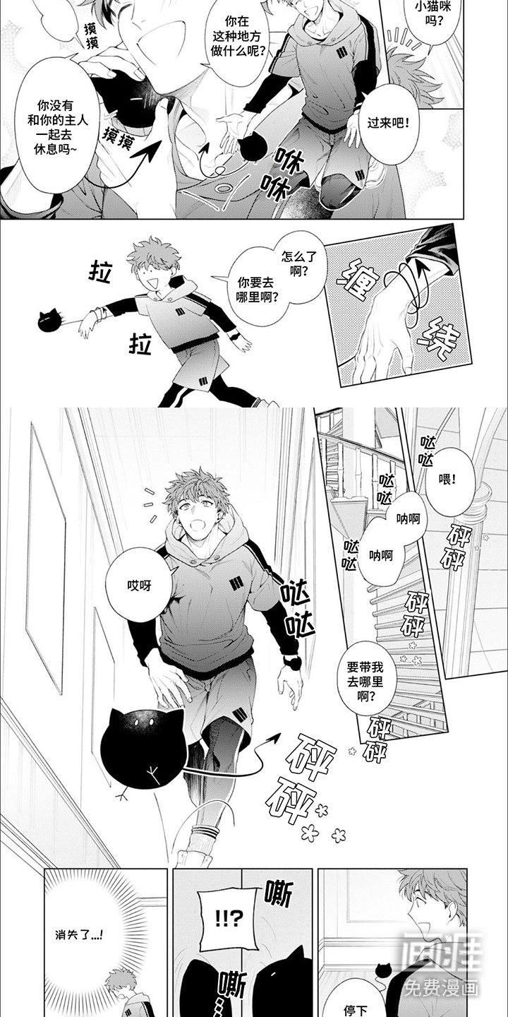 第2章：适应