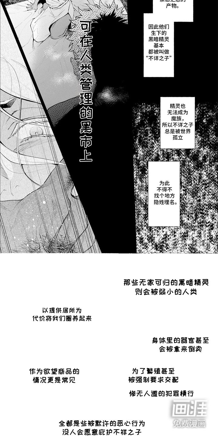 第5章：经历