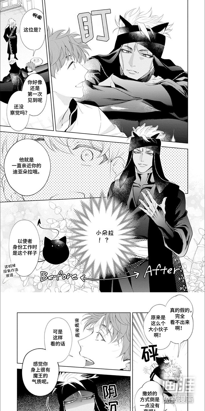 第7章：亲属