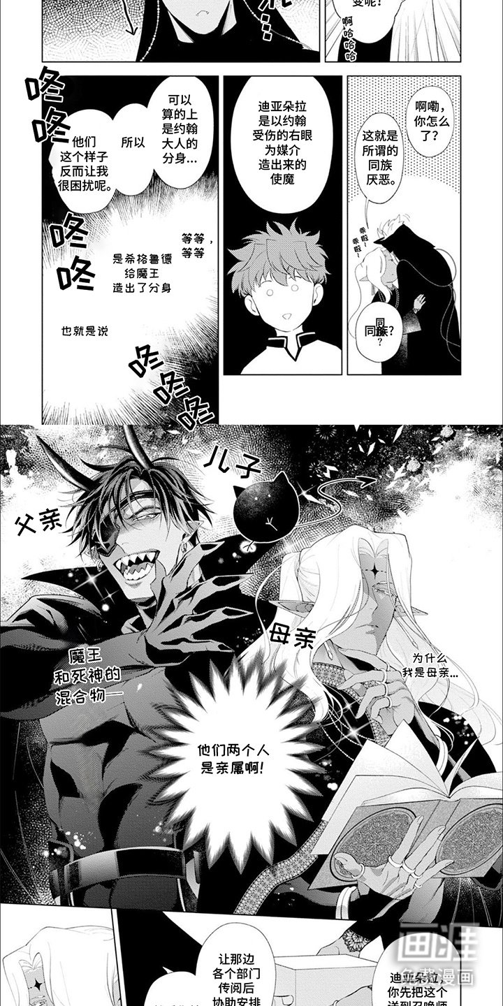 第7章：亲属