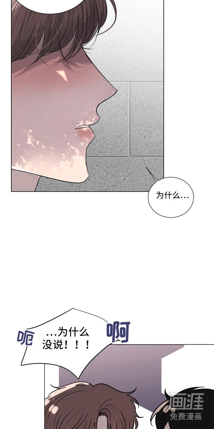 第15章：喜欢